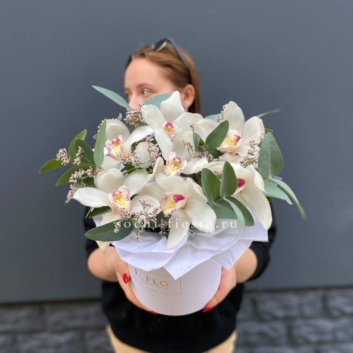 7 орхидей в боксе в Абакане