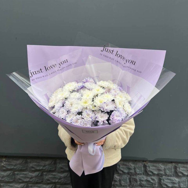 9 воздушных хризантем в Абакане