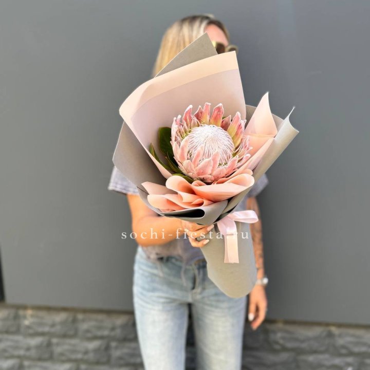 Протея мини  в Абакане