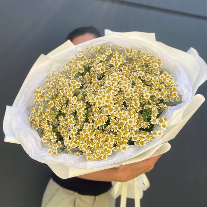 Букет ромашек №2 в Абакане