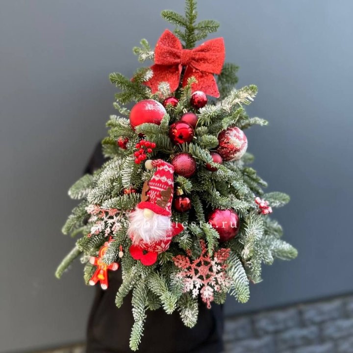 Новогодняя елочка "Ред" в Абакане