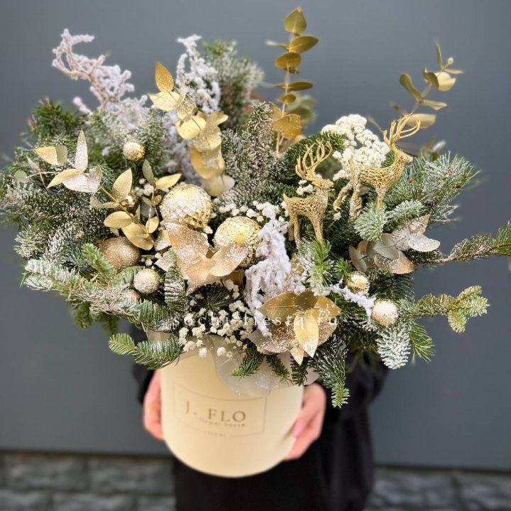 Золотой бокс с нобилисом в Абакане