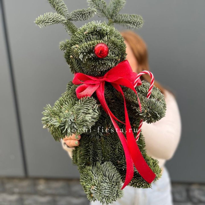 "Олень" из нобилиса в Абакане