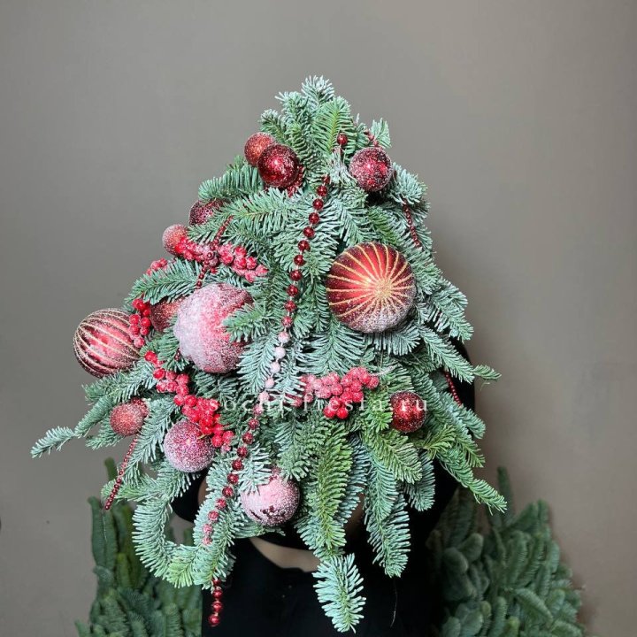 Ёлка красная в Абакане