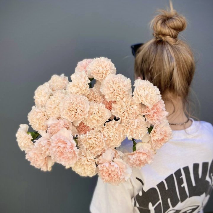 Охапка диантусов  в Абакане