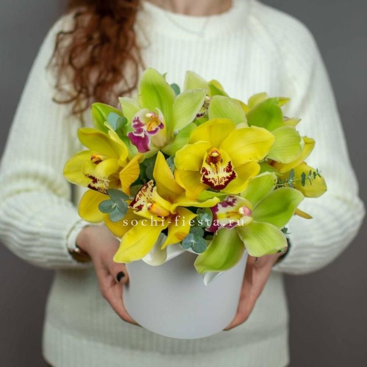 Бокс с орхидей №1 в Абакане