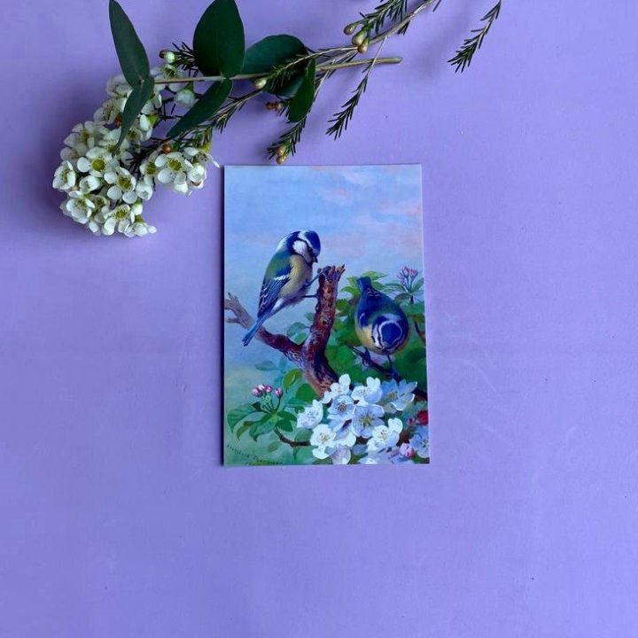 Открытка к букету "Птицы" в Абакане