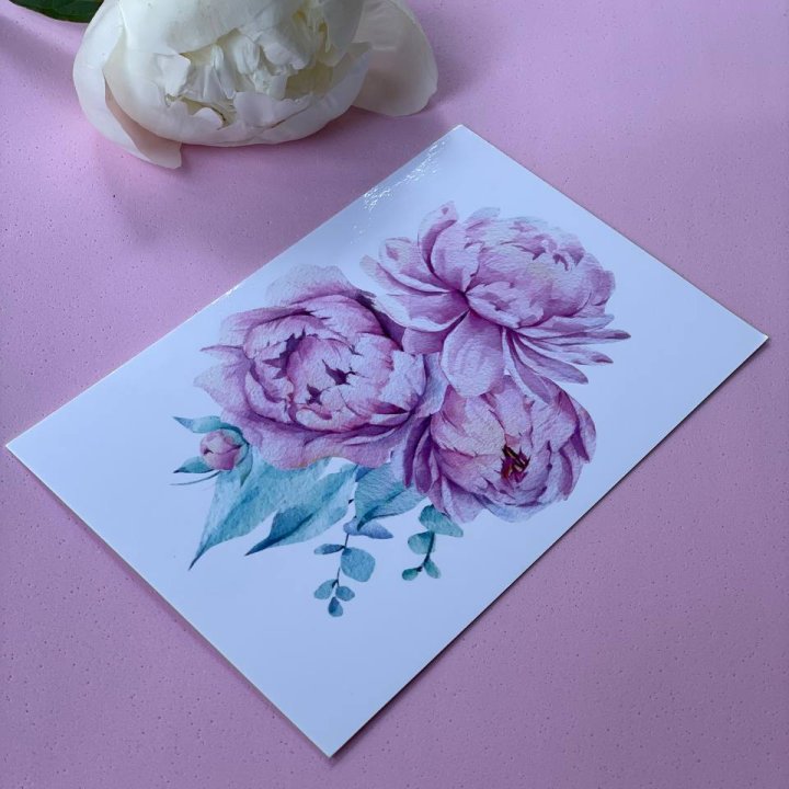 Открытка к букету "Пионы" в Абакане