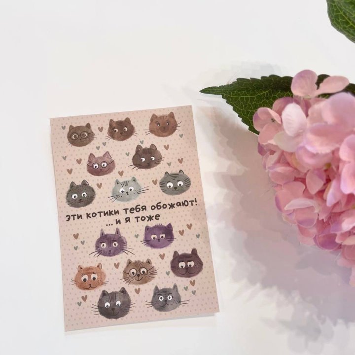 Открытка к букету "Котики" в Абакане