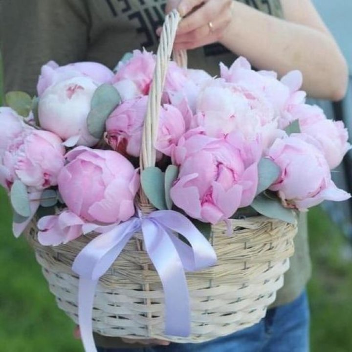 15 пионов в корзине в Абакане