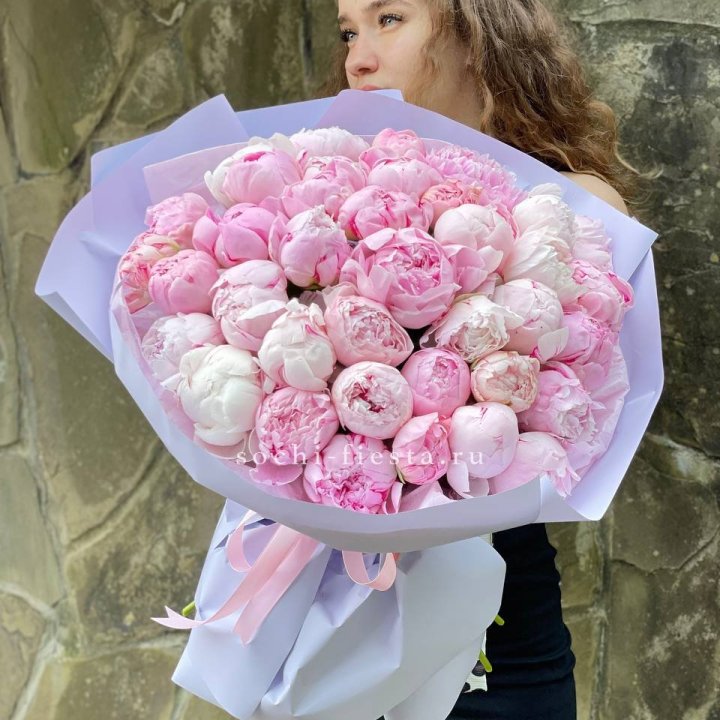 39 нежных пионов в Абакане