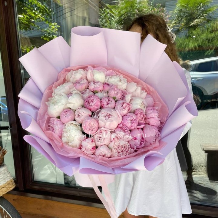 51 розовый пион в Абакане