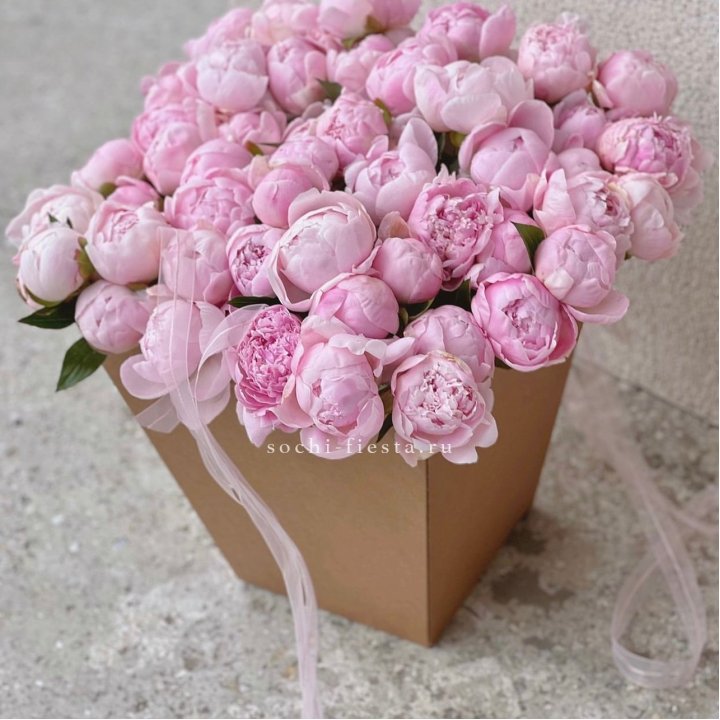 49 пионов в крафт коробке в Абакане