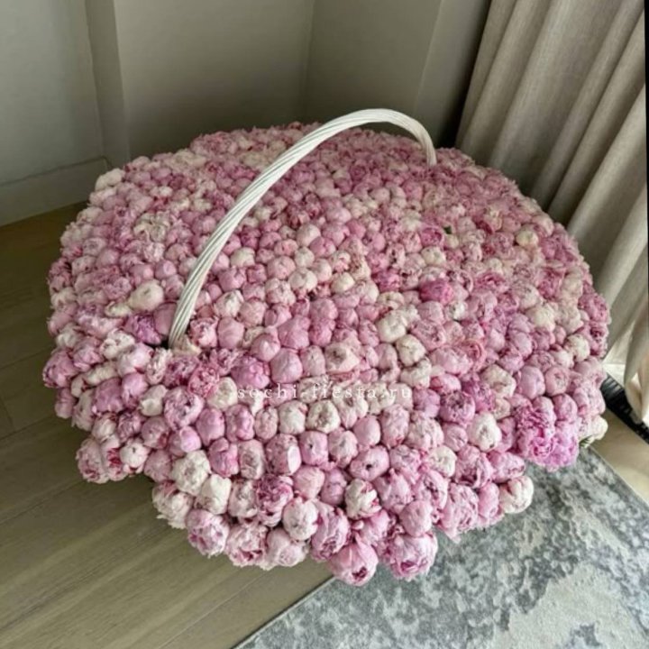 Корзина 555 пионов в Абакане