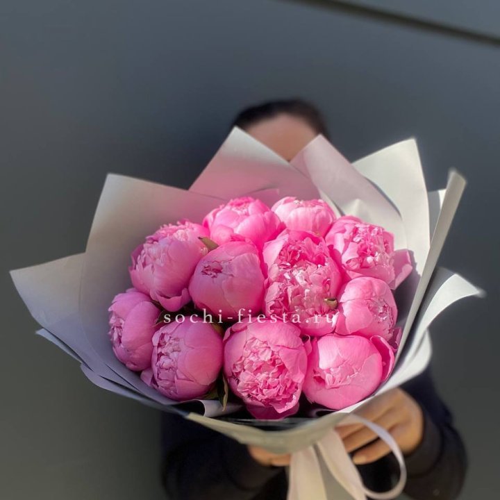 Пионы Алекс флеминг в Абакане