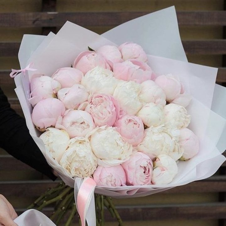 29 пионов в Абакане