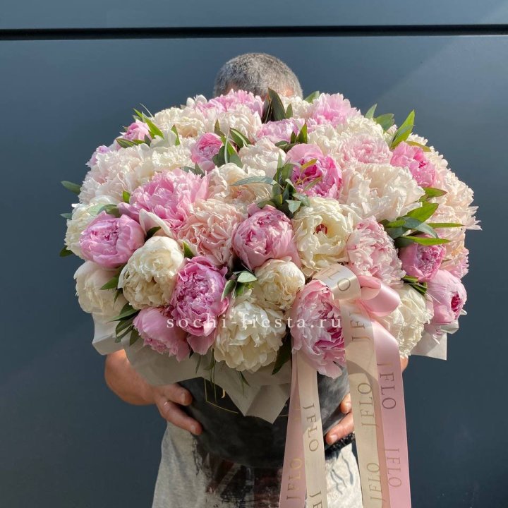 51 пионов в боксе в Абакане