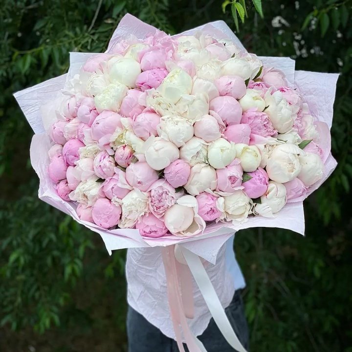 101 пион в Абакане