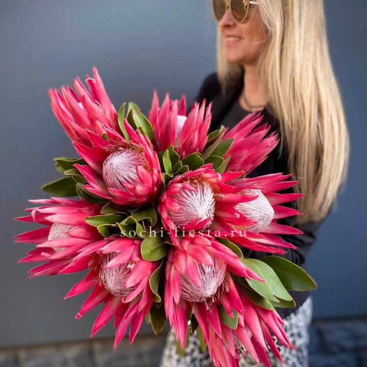 Протея штучно в Абакане