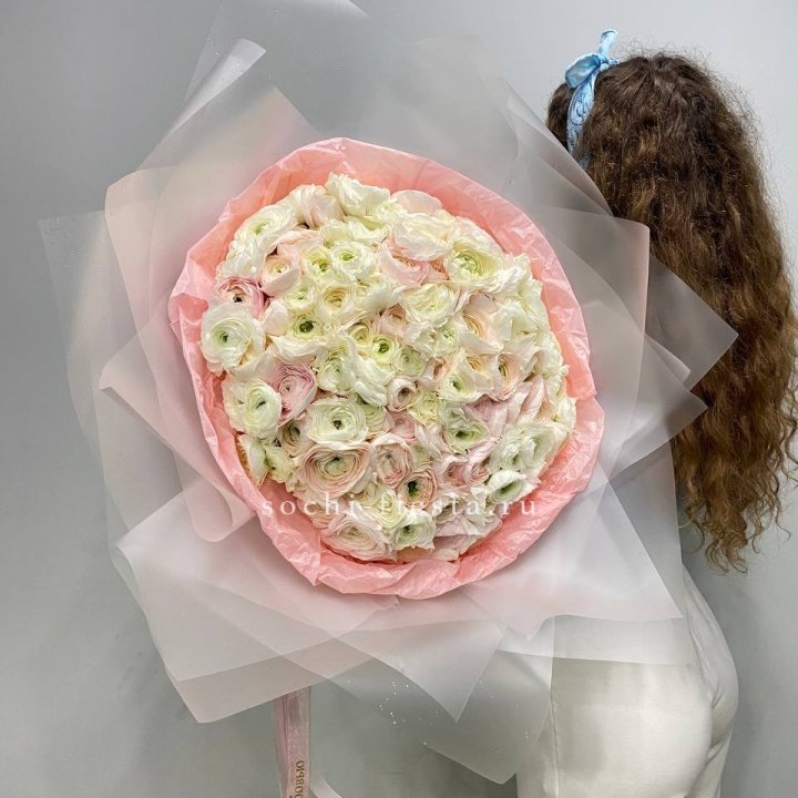 113 ранункулюсов  в Абакане