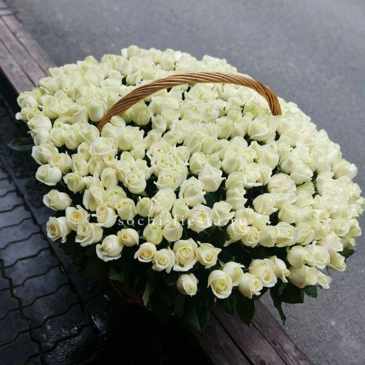 303 розы в корзине в Абакане