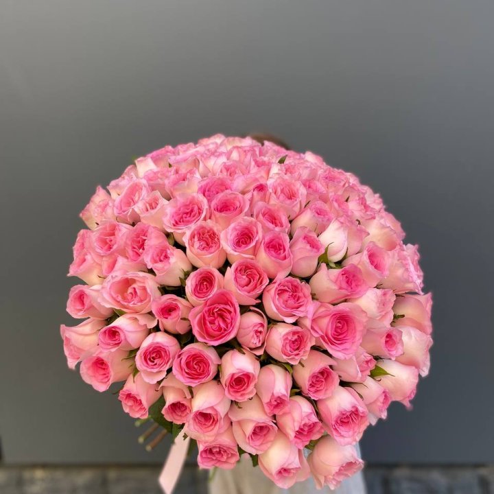 101 розовая роза в Абакане