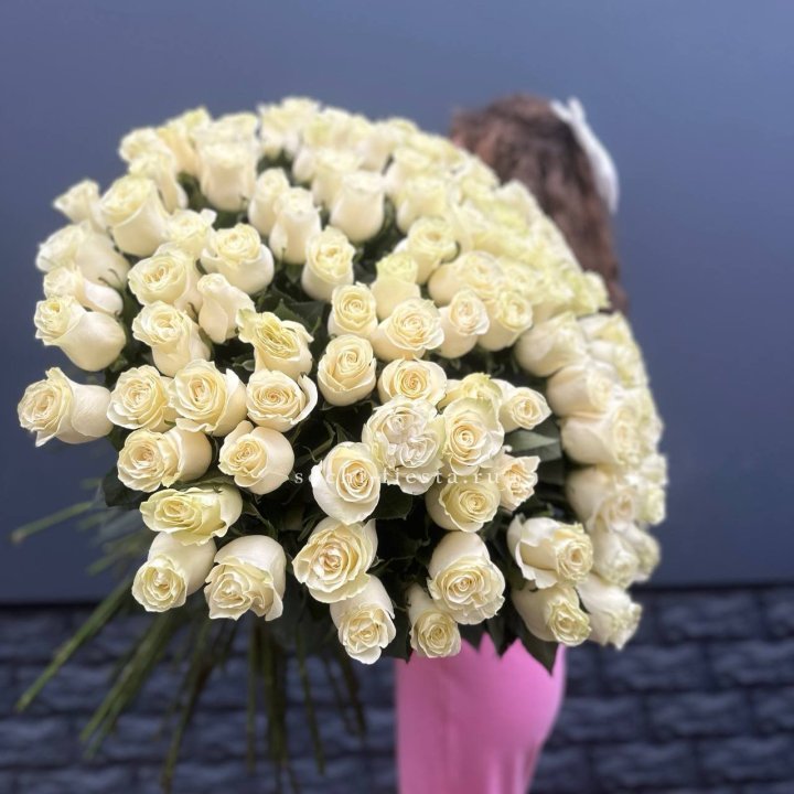 101 белая высокая импортная роза под ленту в Абакане