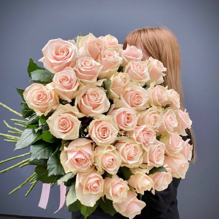 35 кремовых высоких роз в Абакане