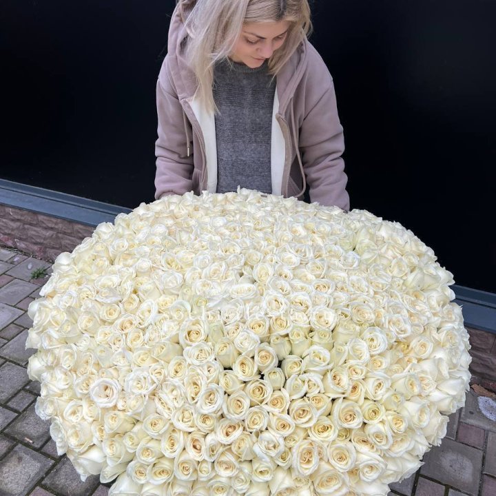 501 белая роза в корзине в Абакане