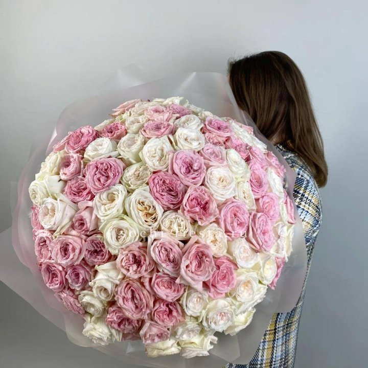 101 роз Охара в Абакане