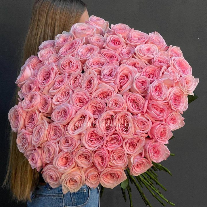 75 роз Охара в Абакане