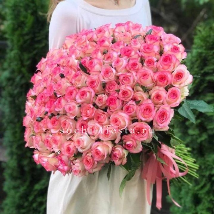 101  джумилия роза  в Абакане