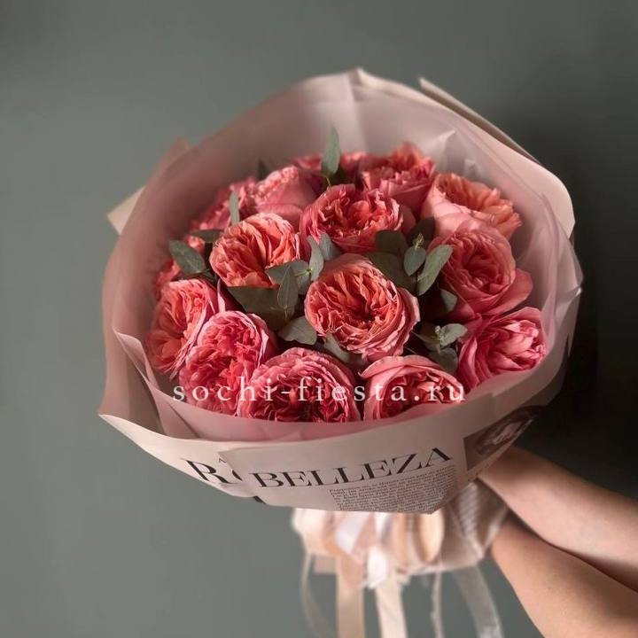 15 Пинк экспрешен в Абакане