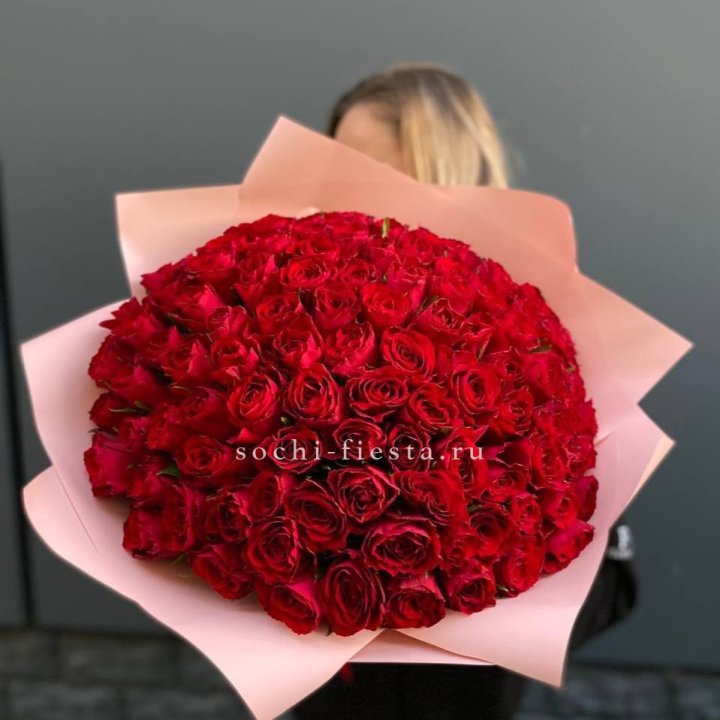 101 роза мадам ред в Абакане