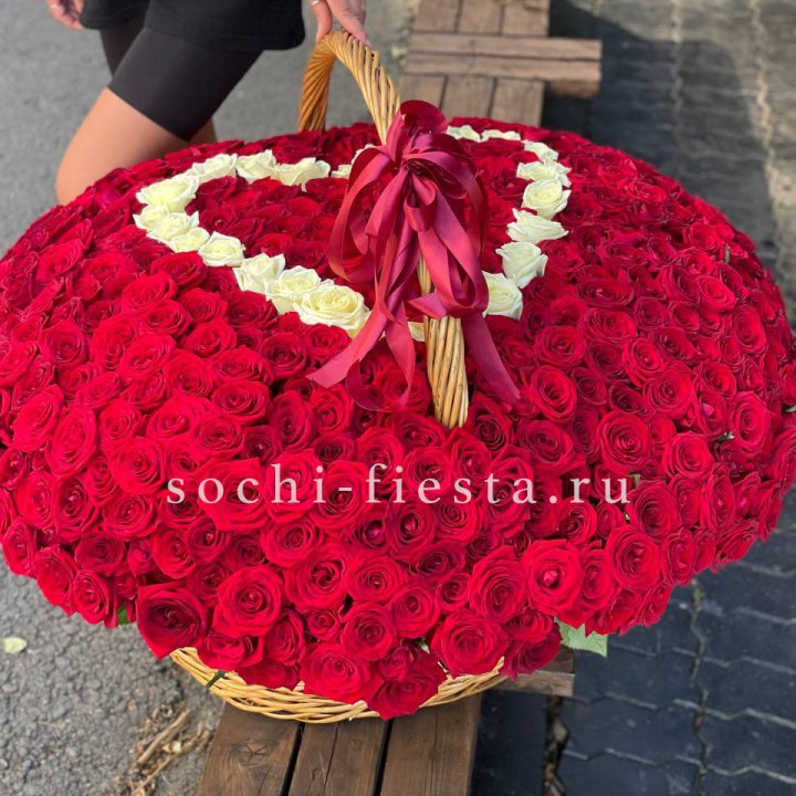 505 роз в Абакане