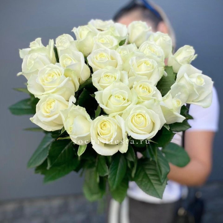 Голландские розы белые 25 в Абакане