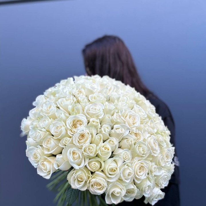 Охапка из 101 белой розы  в Абакане