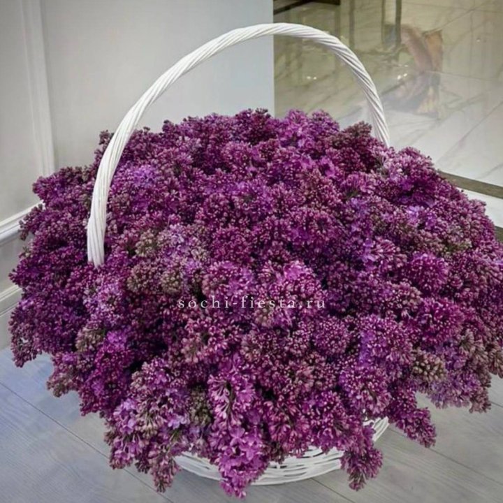 Корзина сирени в Абакане