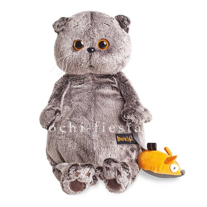 Кот Басик с мышкой в Абакане