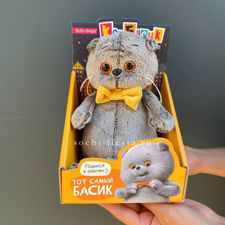 Кот Басик с бабочкой в Абакане