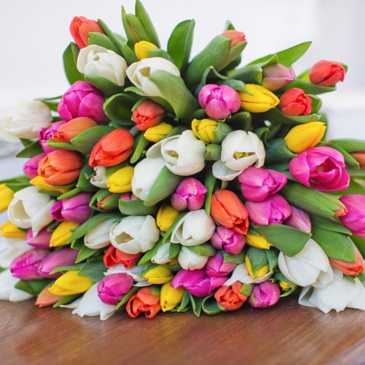 79 тюльпанов "Рандом" в Абакане