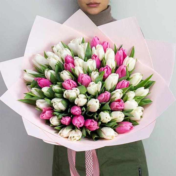 61 бело-розовый тюльпан в Абакане