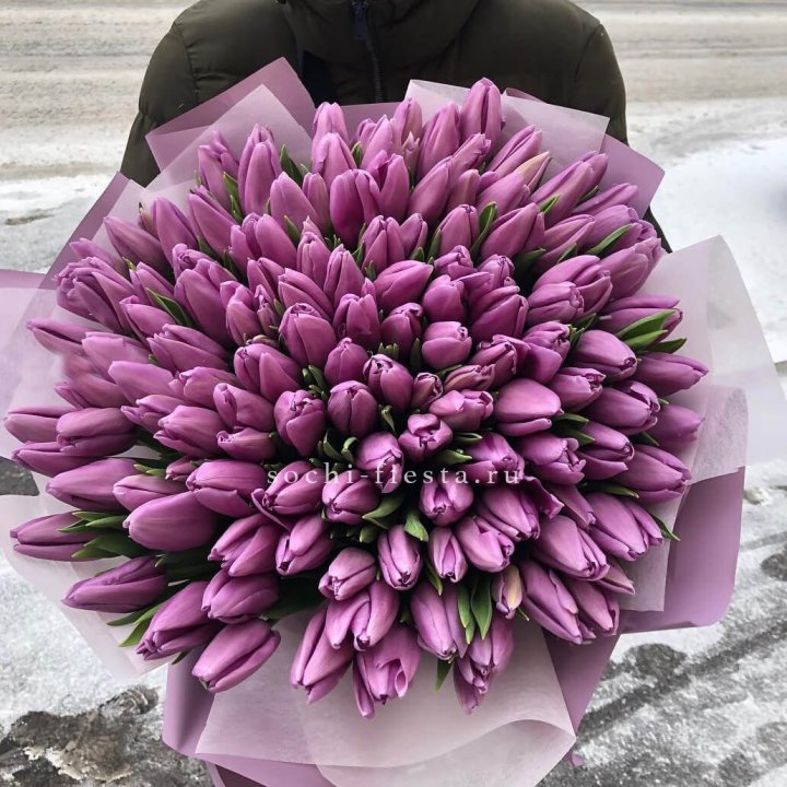 101 сиреневый тюльпан в Абакане