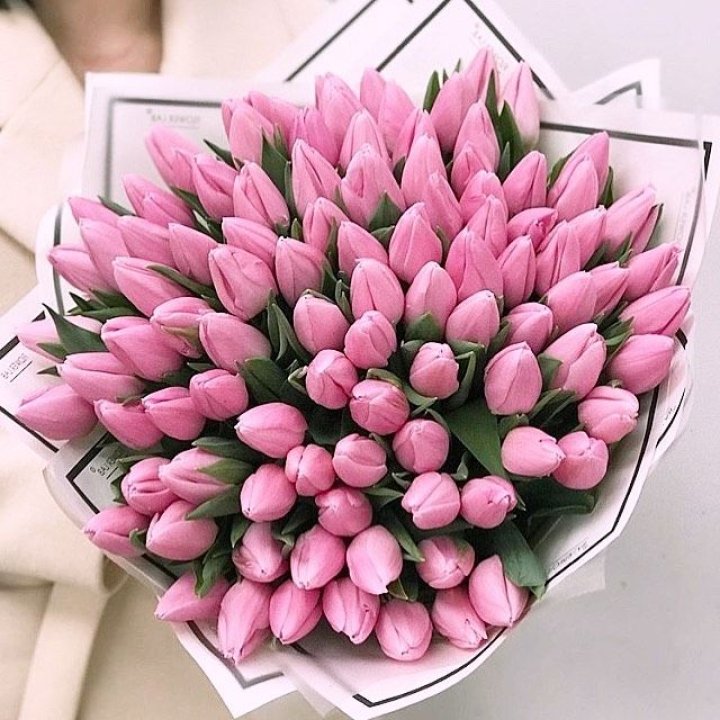101 розовый тюльпан в белом в Абакане