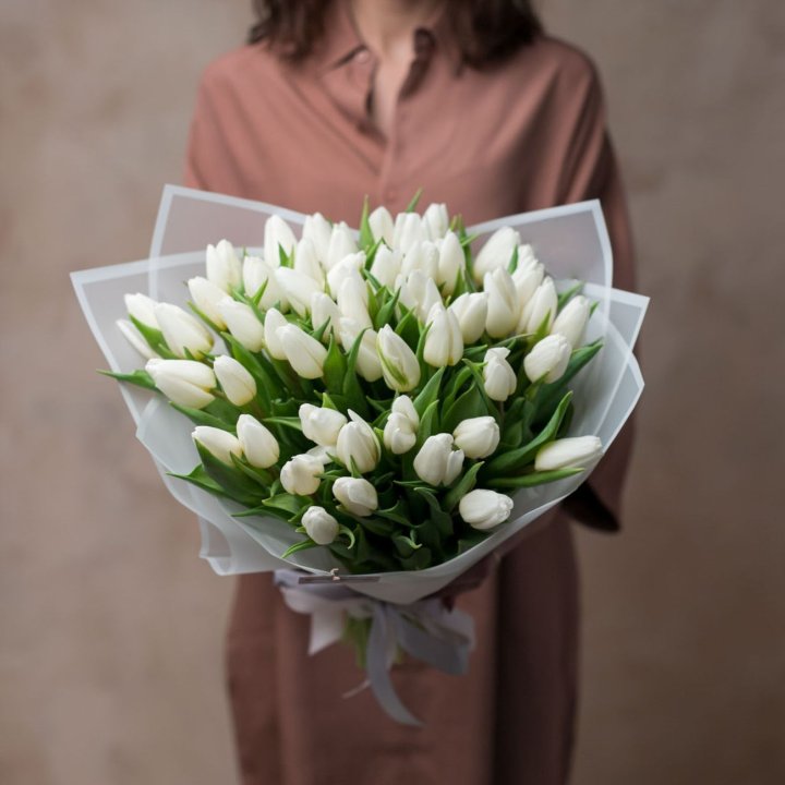 51 белый тюльпан в Абакане