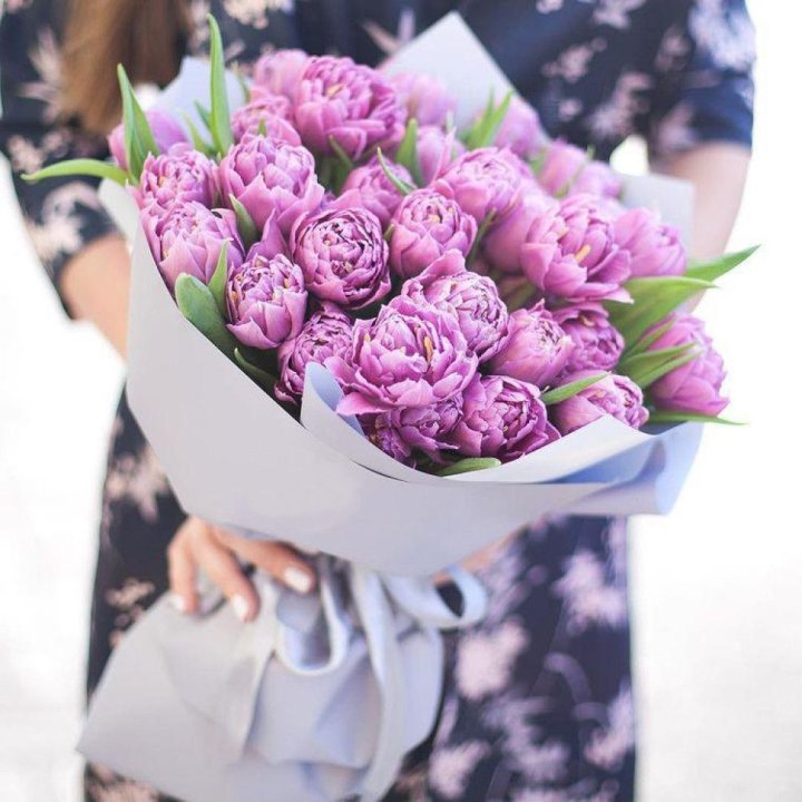 Тюльпаны "Пионс" в Абакане