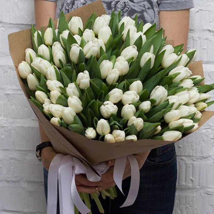 101 тюльпан сноу в Абакане