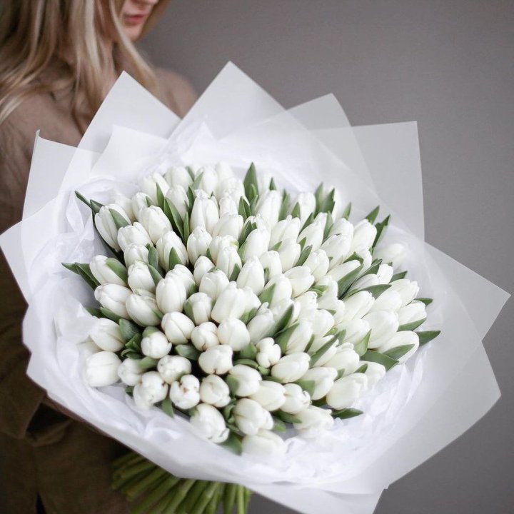 101 белый тюльпан в Абакане