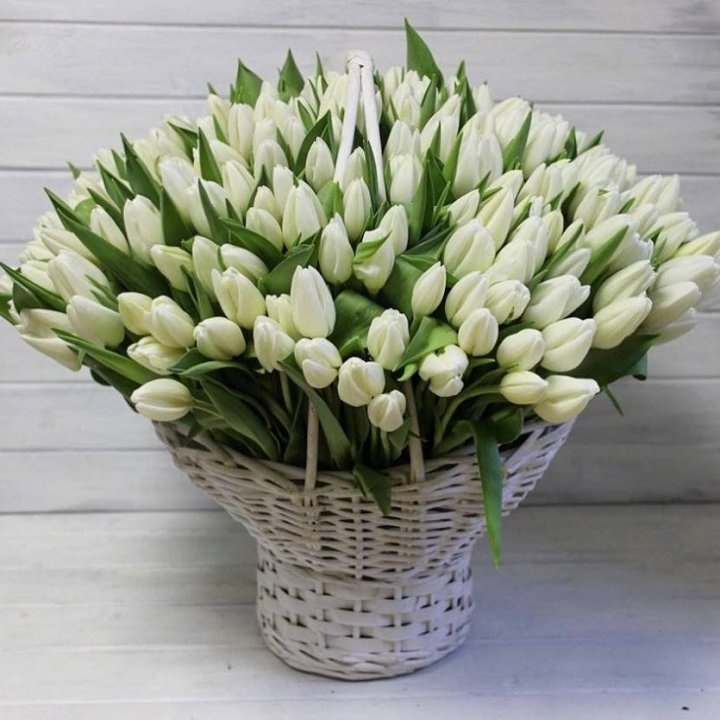 Корзина из 151 тюльпана в Абакане