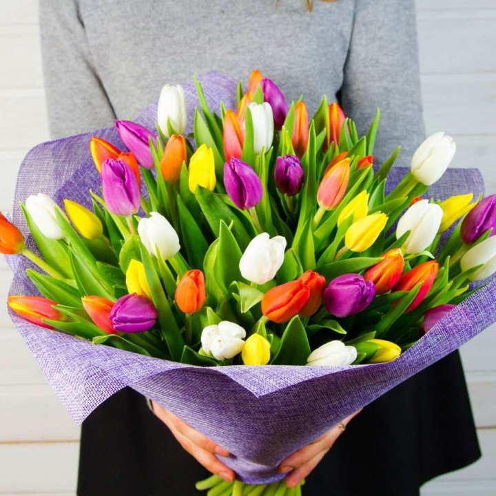 51 тюльпан "Рандом" №2 в Абакане